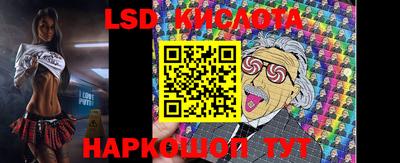 стаф Абакан